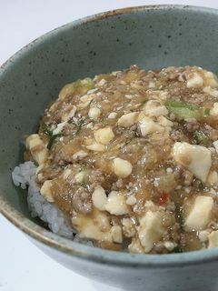 簡単に作れる☆麻婆丼(麻婆豆腐)-レシピのメイン写真