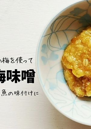 梅シロップの梅を使った梅味噌-レシピのメイン写真