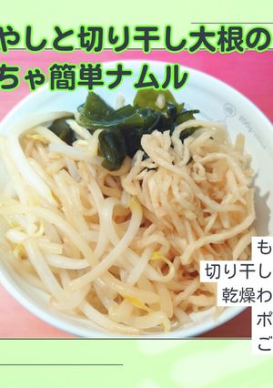 超簡単!もやしと切り干し大根のナムル-レシピのメイン写真