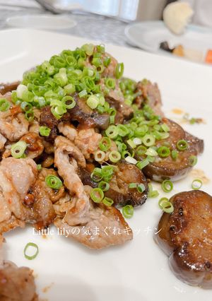 ラム肉の麻婆茄子-レシピのメイン写真