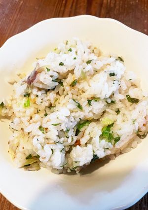 夏の薬味チャーハン-レシピのメイン写真