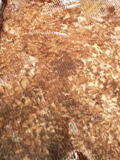 乾燥米麹で醤油麹-レシピのメイン写真