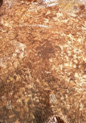 乾燥米麹で醤油麹-レシピのメイン写真