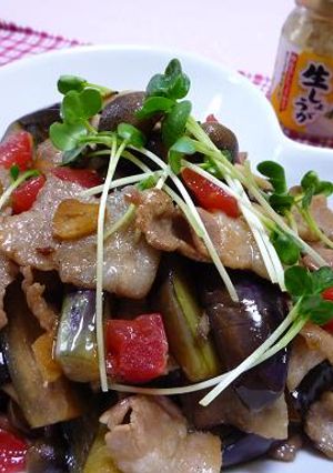 なすと豚肉の炒めもの-レシピのメイン写真