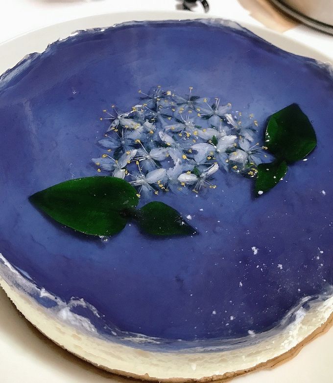 紫陽花のレアチーズケーキ by 京鳥（みやこどり） 【クックパッド