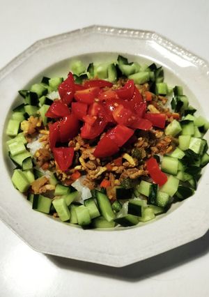 夏野菜でタコライス風-レシピのメイン写真