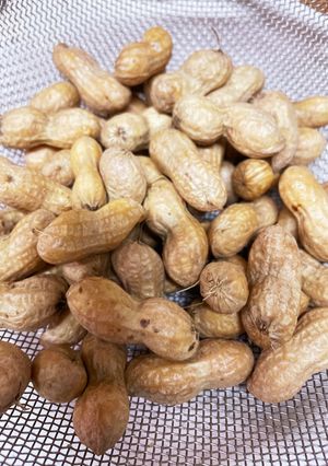 生落花生 茹で時間は10分-レシピのメイン写真