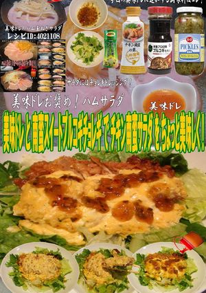 美味ドレスイート南蛮プルコギチョレギでチ-レシピのメイン写真