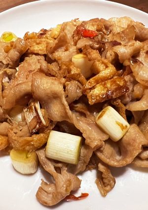 豚バラ・長ネギ・油揚げのピリ辛炒め-レシピのメイン写真