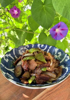 豚と夏野菜のしょうが甘酢炒め-レシピのメイン写真