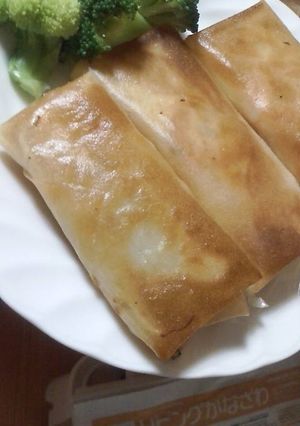 厚揚げで☆春巻-レシピのメイン写真