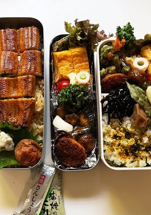 土用丑の日にちなんでウナギ弁当！-レシピのメイン写真