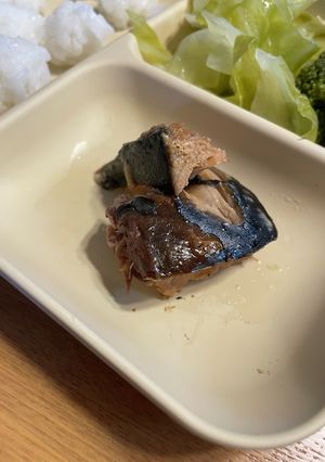 骨ごと食べれる鯖の味噌煮(1歳〜)-レシピのメイン写真