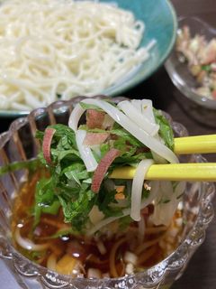 薬味たっぷり、冷やしうどん-レシピのメイン写真