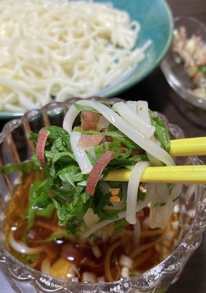 薬味たっぷり、冷やしうどん-レシピのメイン写真