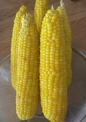 とうもろこし茹で方（電子レンジも掲載）-レシピのメイン写真