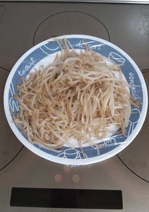 ラップの巻き方-レシピのメイン写真