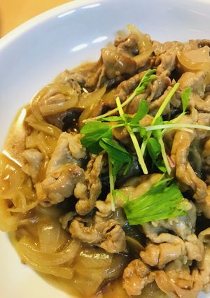 豚こまぎれ肉の「生姜湯」焼き-レシピのメイン写真