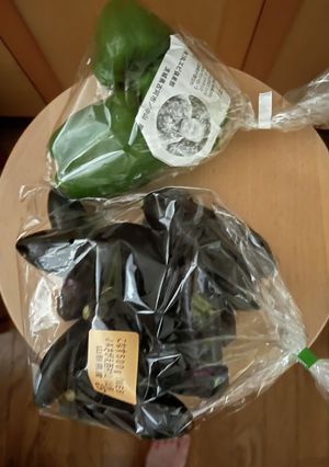小なすのお漬け物-レシピのメイン写真