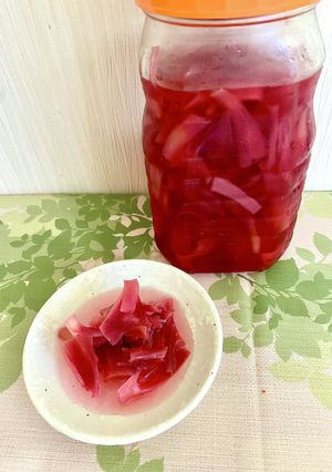 茎ミョウガの梅酢漬け-レシピのメイン写真