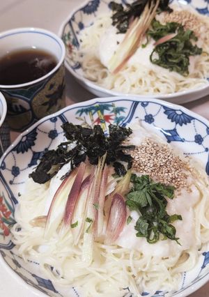 とろろそうめん全部のせ-レシピのメイン写真