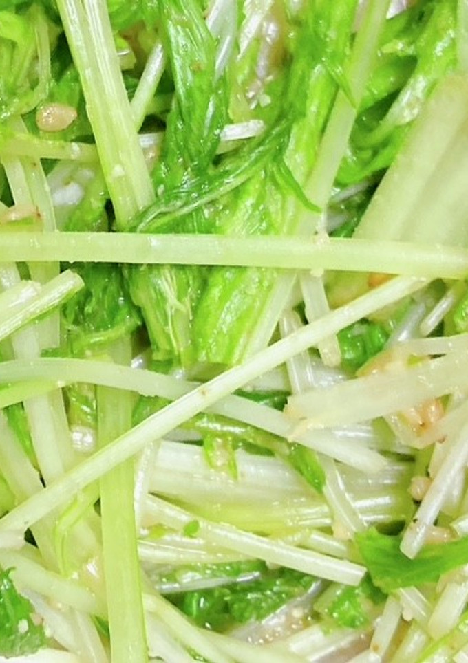 お弁当のおかず(水菜の胡麻和え)-レシピのメイン写真