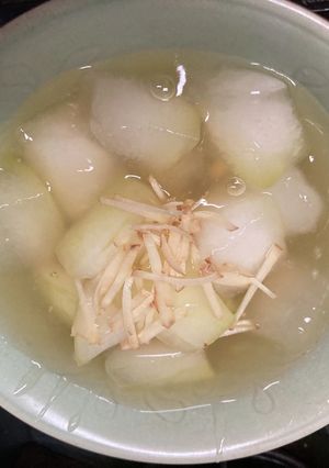 冬瓜のトロトロ煮-レシピのメイン写真