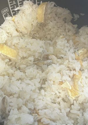 ちりめんぼしの炊き込みご飯-レシピのメイン写真