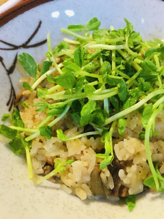 たきこみごはん●豆苗のトッピング-レシピのメイン写真