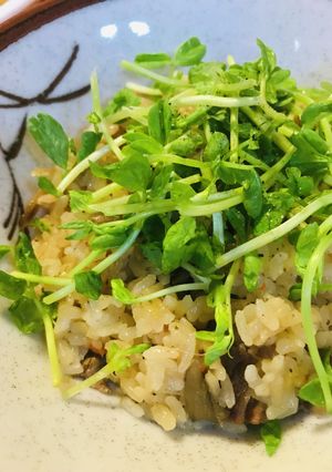 たきこみごはん●豆苗のトッピング-レシピのメイン写真