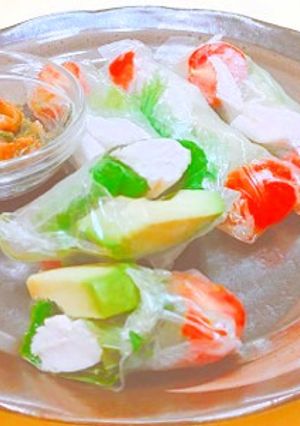 鶏ささみと野菜の彩り春巻き-レシピのメイン写真