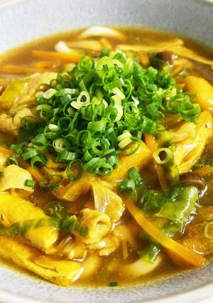野菜いっぱいカレーうどん-レシピのメイン写真