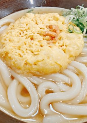 【簡単本格】博多うどん-レシピのメイン写真