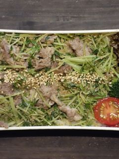 豚肉と豆苗のごま和え丼弁当-レシピのメイン写真