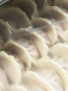 くっつかない!餃子の保存方法-レシピのメイン写真