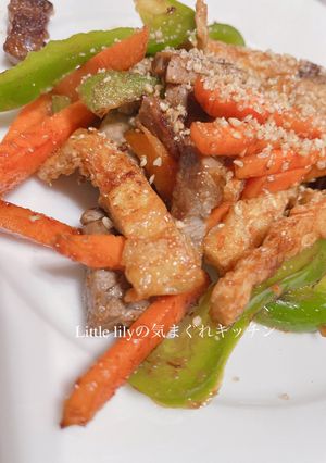 牛肉と油揚げの青椒肉絲風-レシピのメイン写真