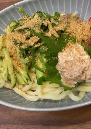 暑い夜に大満足な一杯 薬味もりもりうどん-レシピのメイン写真