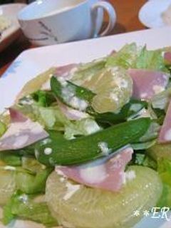 グレープフルーツの春のサラダ♪♪-レシピのメイン写真