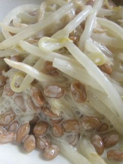 もやし納豆マヨネーズ-レシピのメイン写真