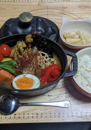 とっても美味しいスープカレー♡-レシピのメイン写真