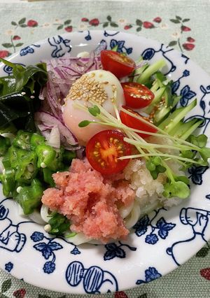 のせのせ夏冷やしうどん-レシピのメイン写真