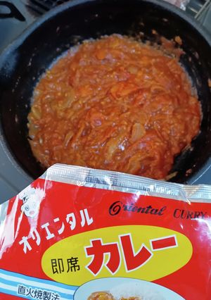 オリエンタル?!トマトカレーソース-レシピのメイン写真