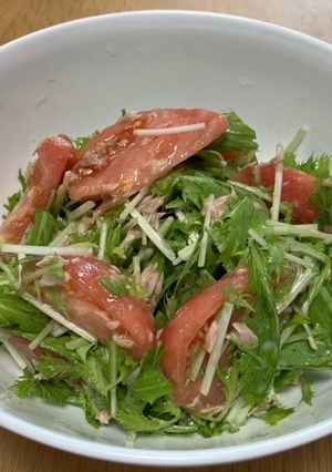 水菜とトマトのサラダ-レシピのメイン写真