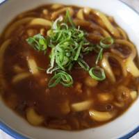 基本からアレンジまで!思わずつくりたくなる「ダシ カレー 基本からアレンジまで!思わずつくりたくなる「ダシ カレー