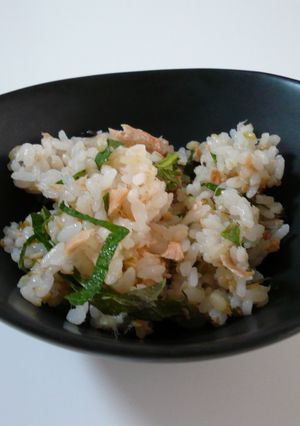 ★簡単・美味しい鮭ご飯★-レシピのメイン写真