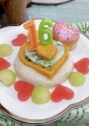 わんちゃんのケーキ(16歳)-レシピのメイン写真
