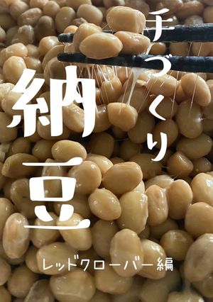 【レッドクローバーで手づくり納豆】JWT-レシピのメイン写真