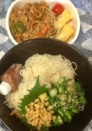 暑い夏に冷たい麺弁当はいかが！？-レシピのメイン写真