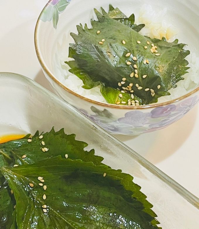大葉の醤油漬け★ご飯のお供★大葉大量消費-レシピのメイン写真