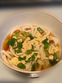 生姜とネギのうどん(風邪用)-レシピのメイン写真